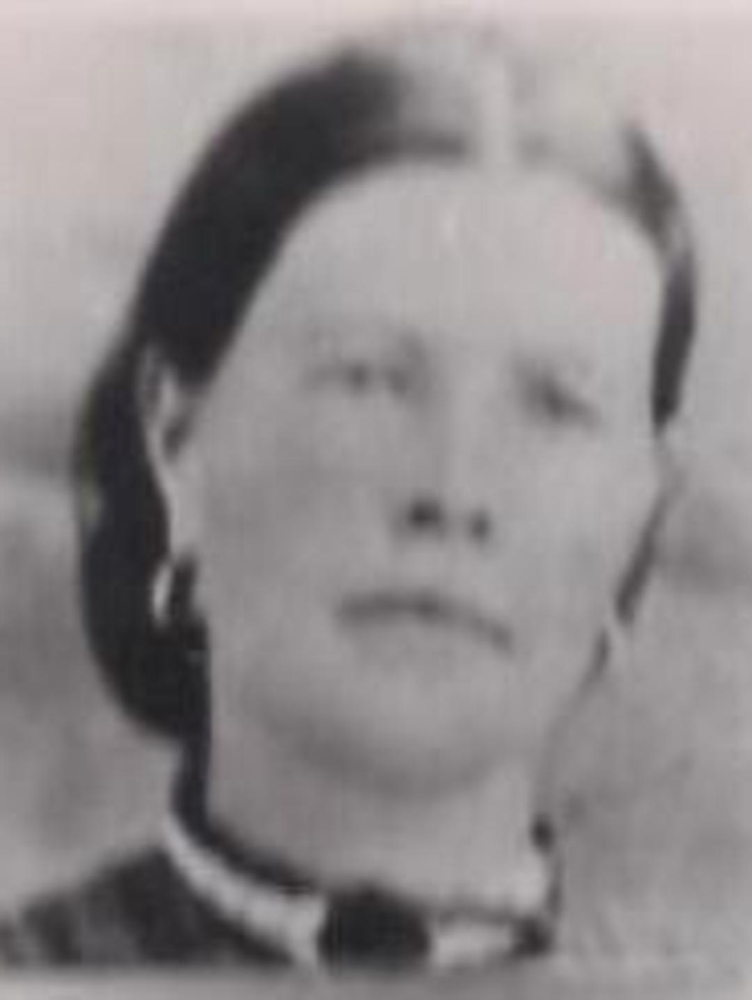 Sarah Prestwich (1842 - 1881) Profile